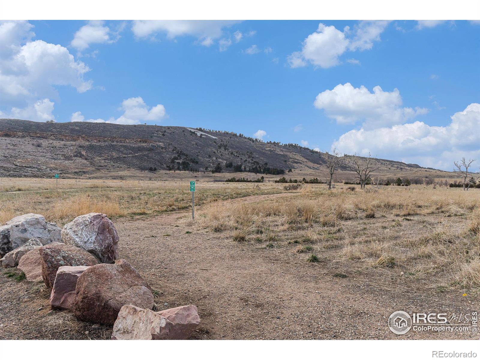 MLS Image #30 for 1705  azalea drive,fort collins, Colorado