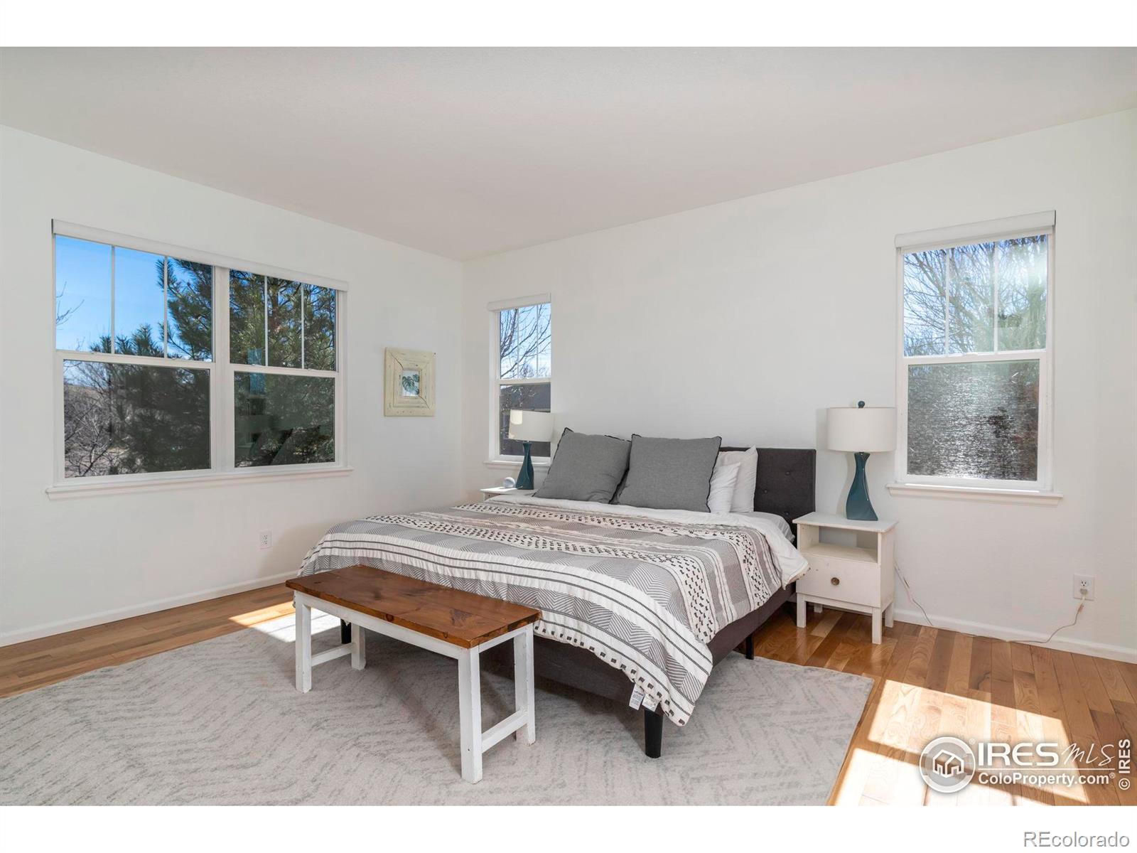MLS Image #14 for 955  eichhorn drive,erie, Colorado
