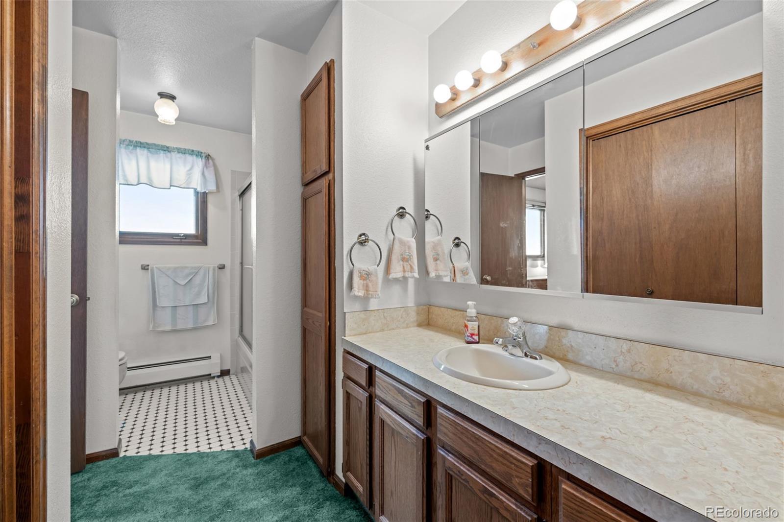 MLS Image #23 for 243 s 25th avenue,brighton, Colorado