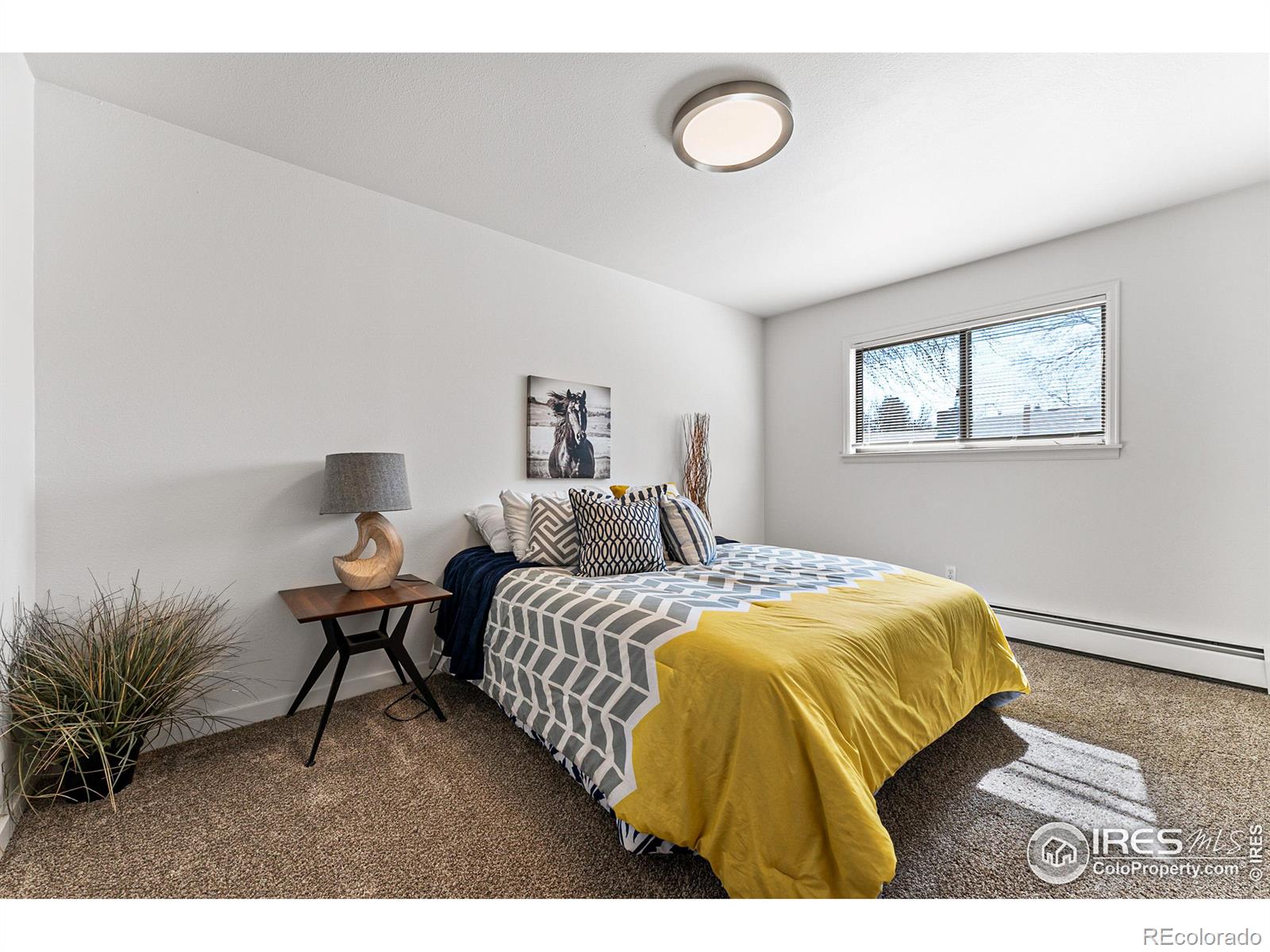 MLS Image #21 for 301  linda lane,fort collins, Colorado