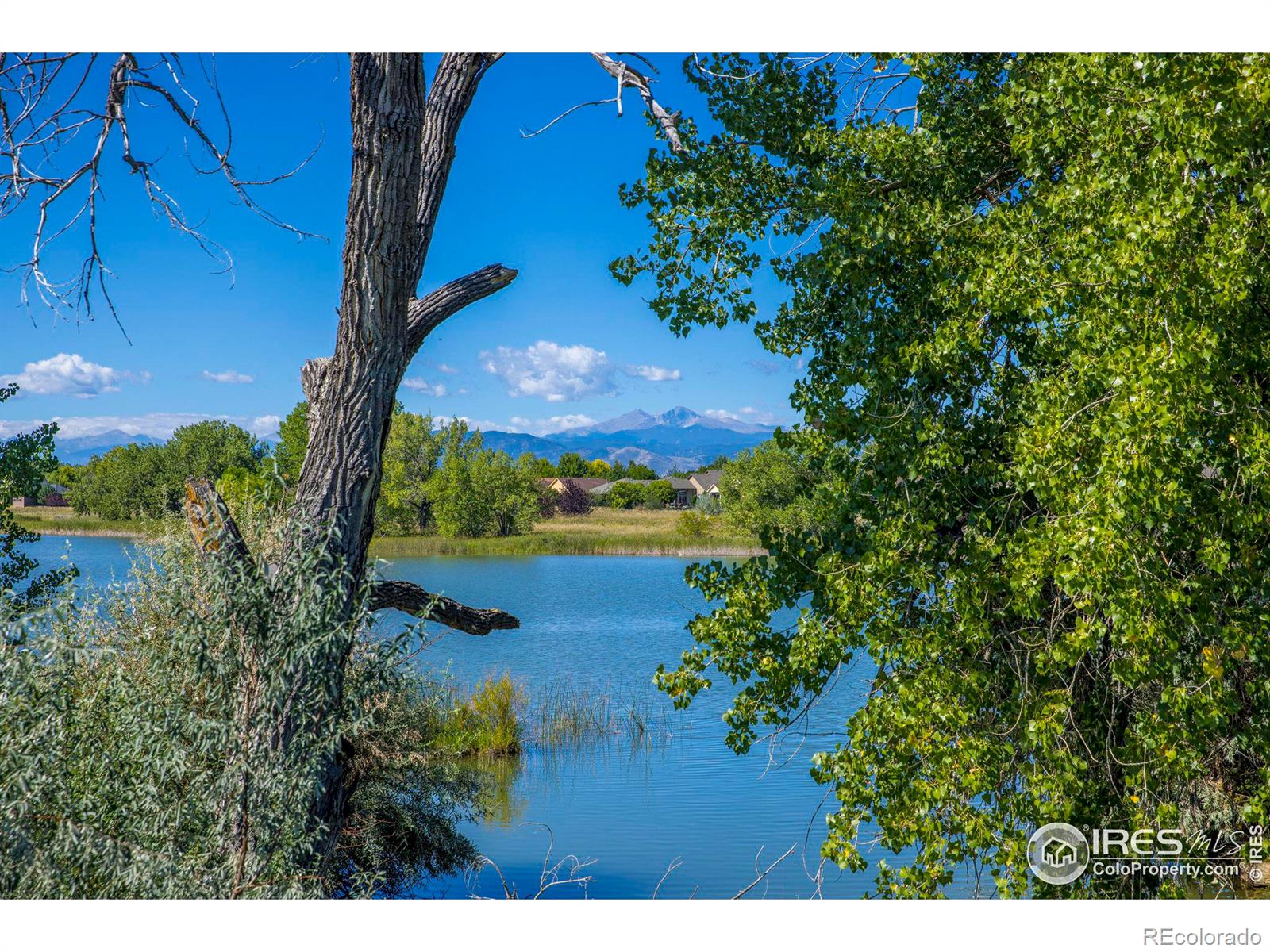 MLS Image #36 for 1545  la jara street,loveland, Colorado