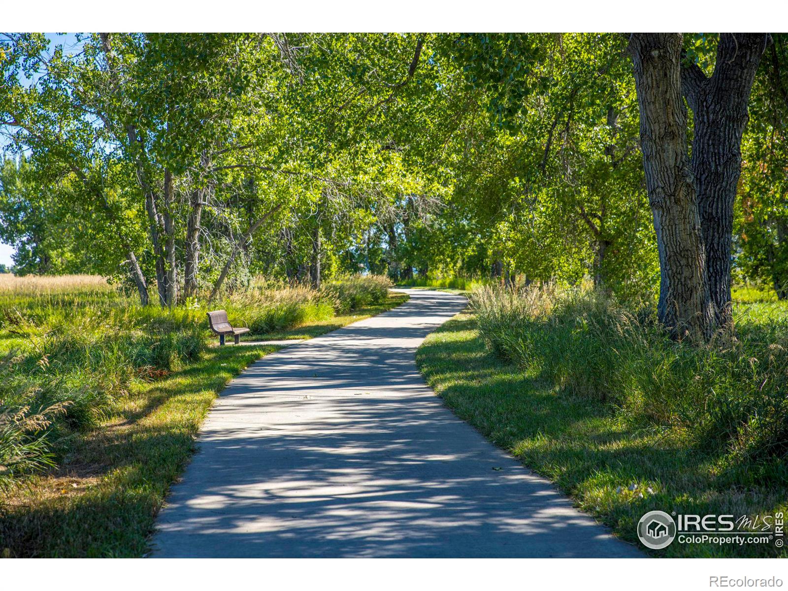 MLS Image #37 for 1545  la jara street,loveland, Colorado