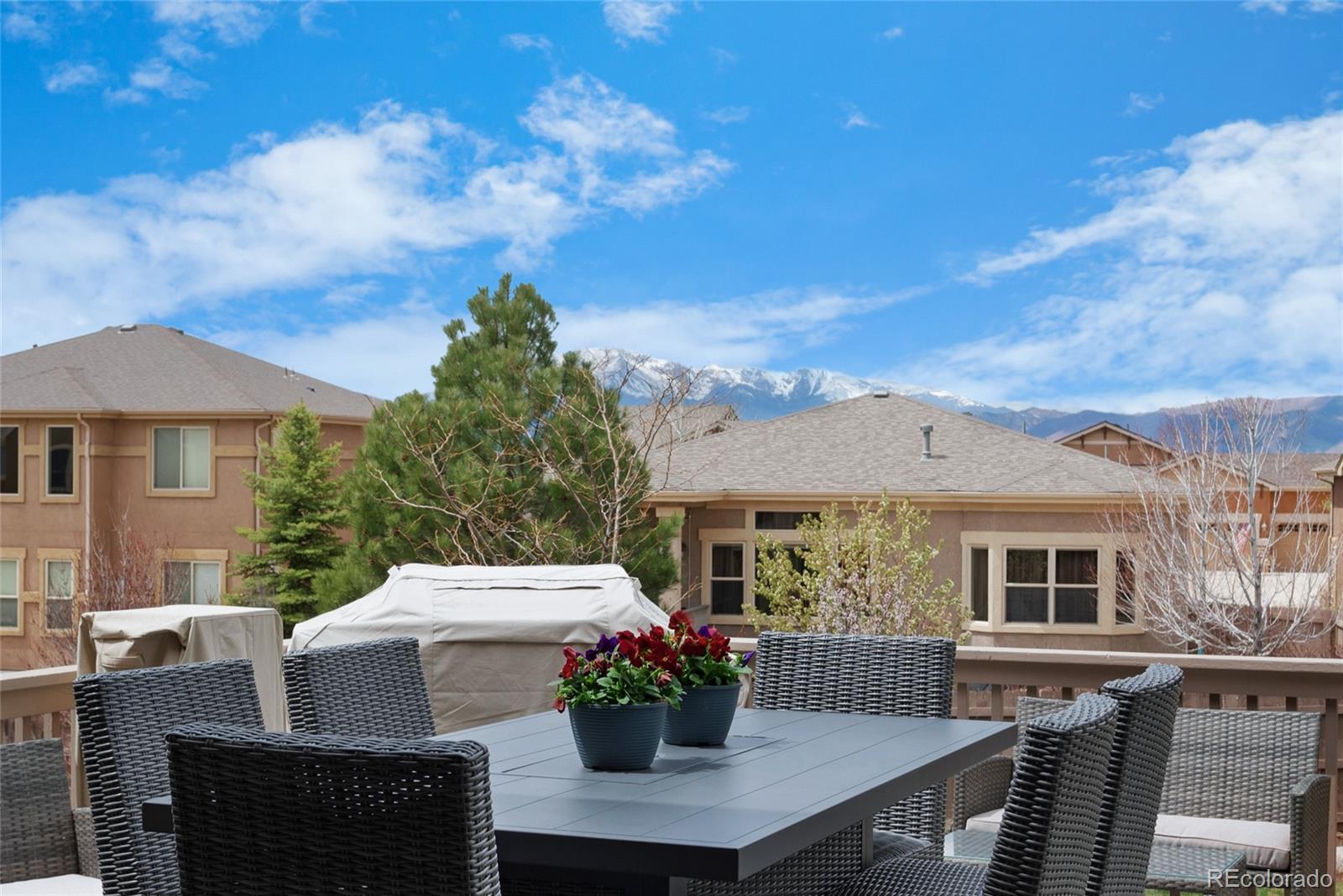 MLS Image #27 for 9534  roxborough park court,colorado springs, Colorado