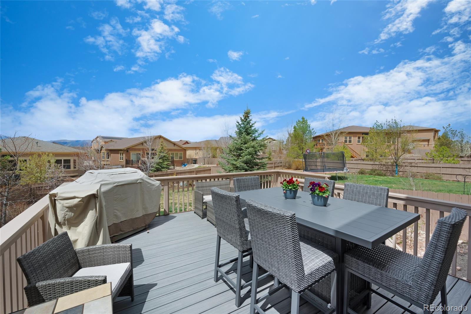 MLS Image #30 for 9534  roxborough park court,colorado springs, Colorado