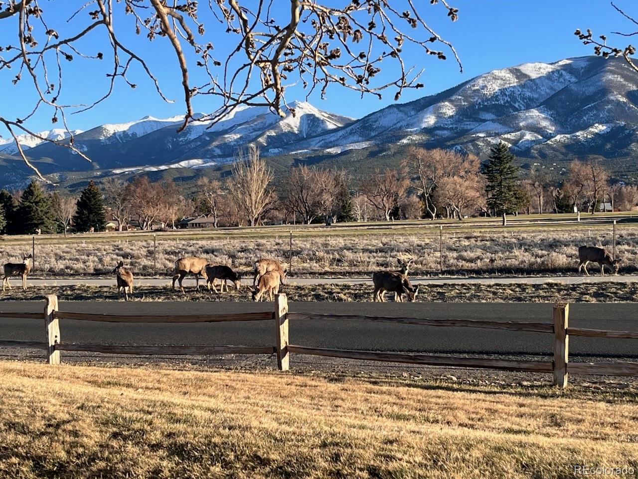 MLS Image #25 for 518  crestone avenue,salida, Colorado