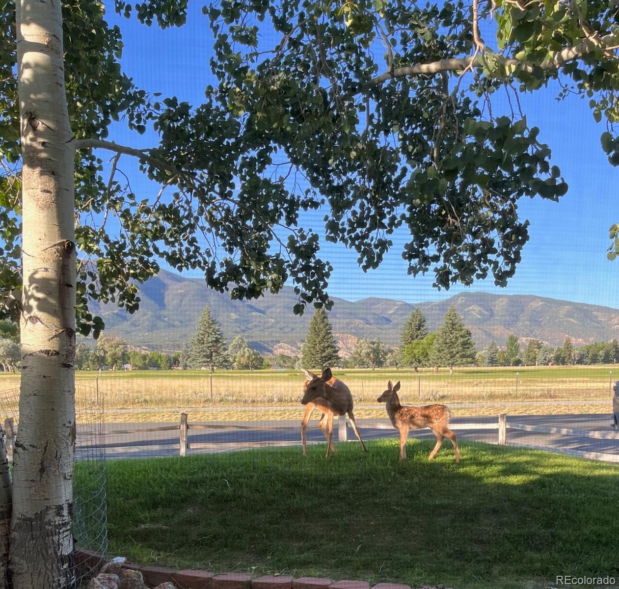 MLS Image #3 for 518  crestone avenue,salida, Colorado