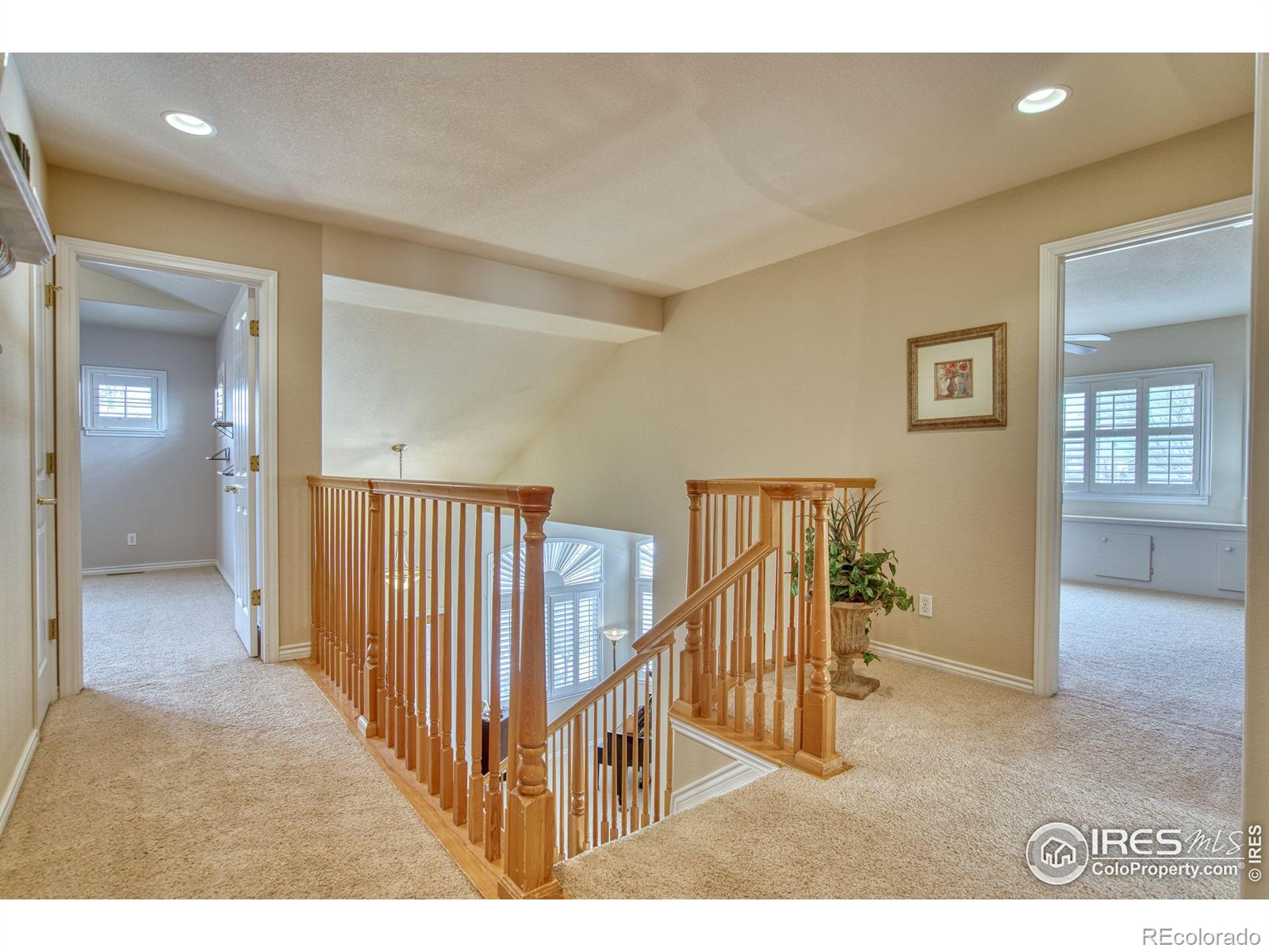 MLS Image #29 for 1303  whitehall drive,longmont, Colorado