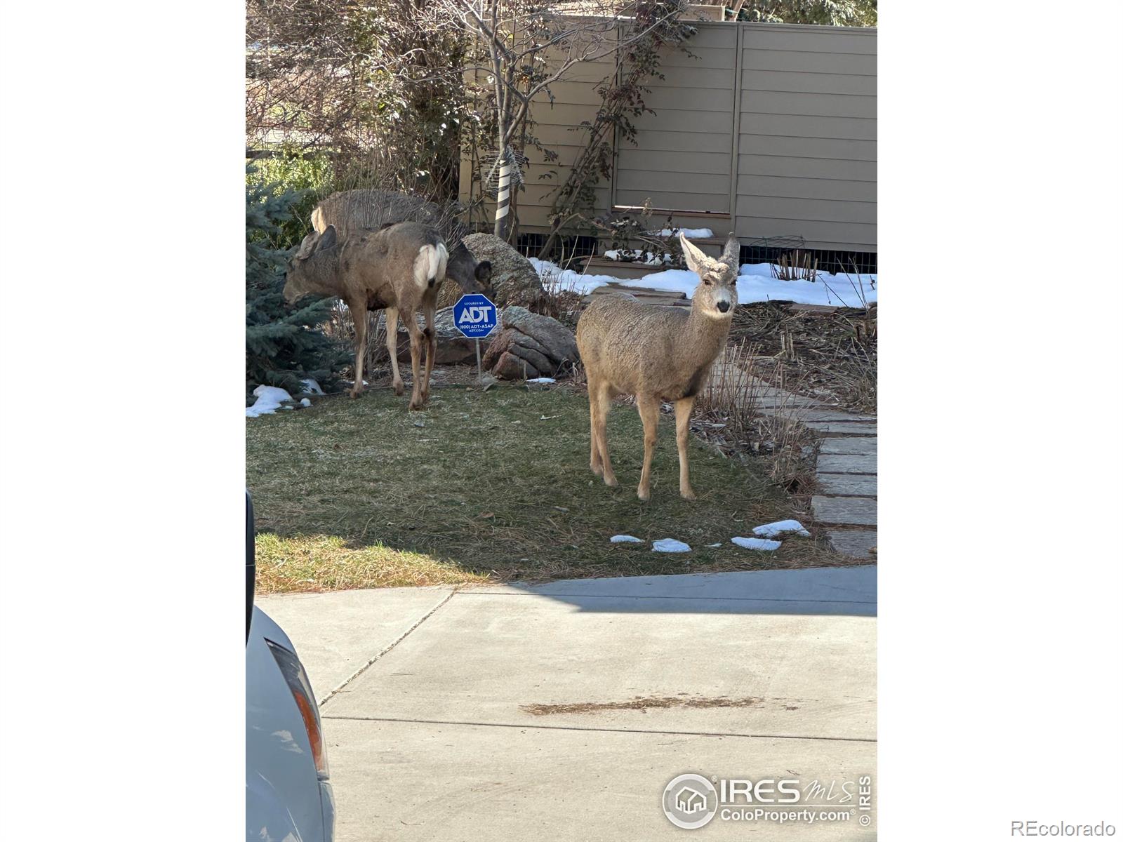 MLS Image #32 for 2107  jordan place,boulder, Colorado