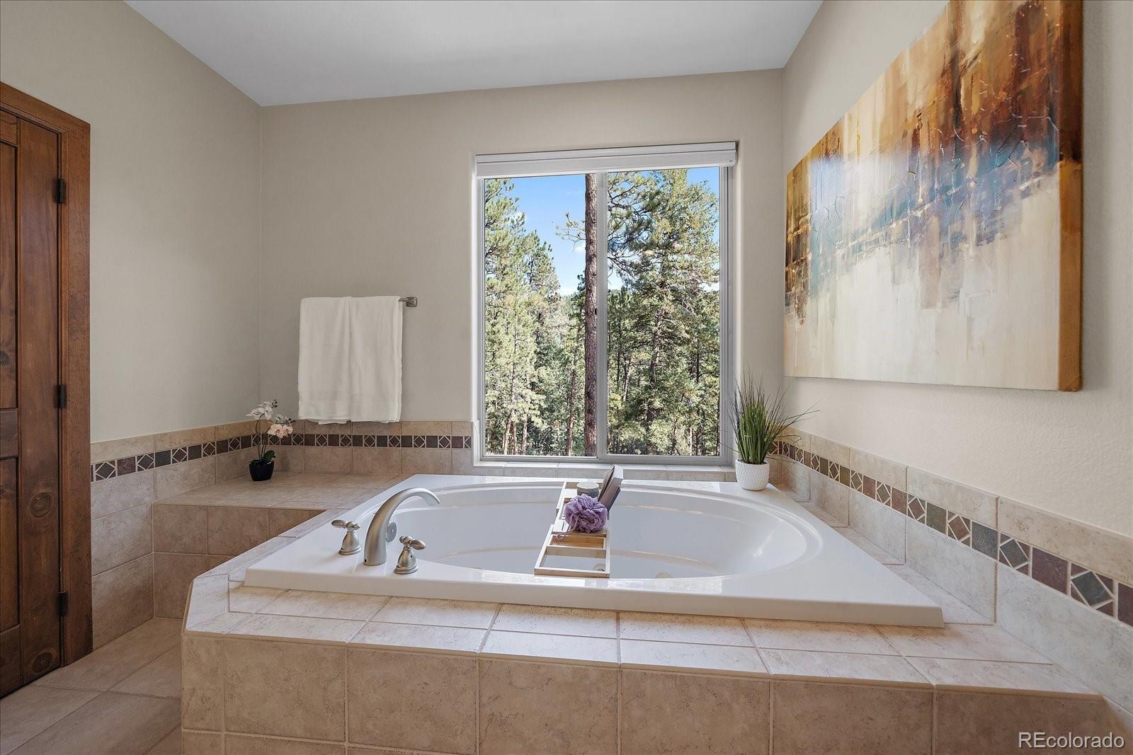 MLS Image #24 for 28857  cedar circle,evergreen, Colorado