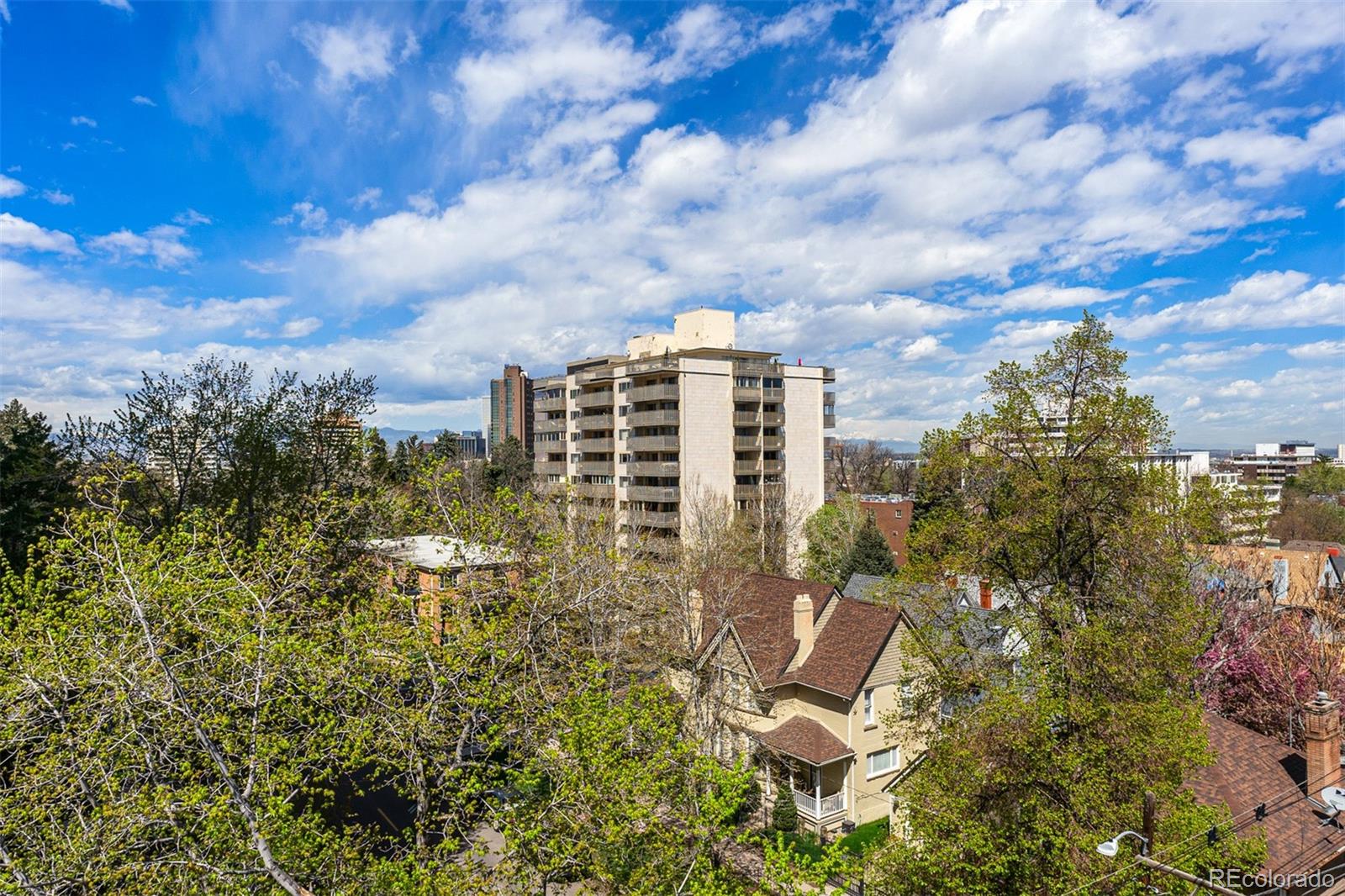 MLS Image #17 for 1175  vine street,denver, Colorado