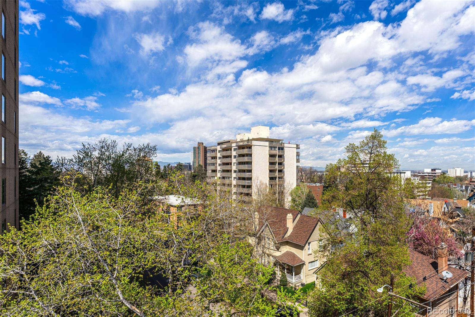 MLS Image #18 for 1175  vine street,denver, Colorado