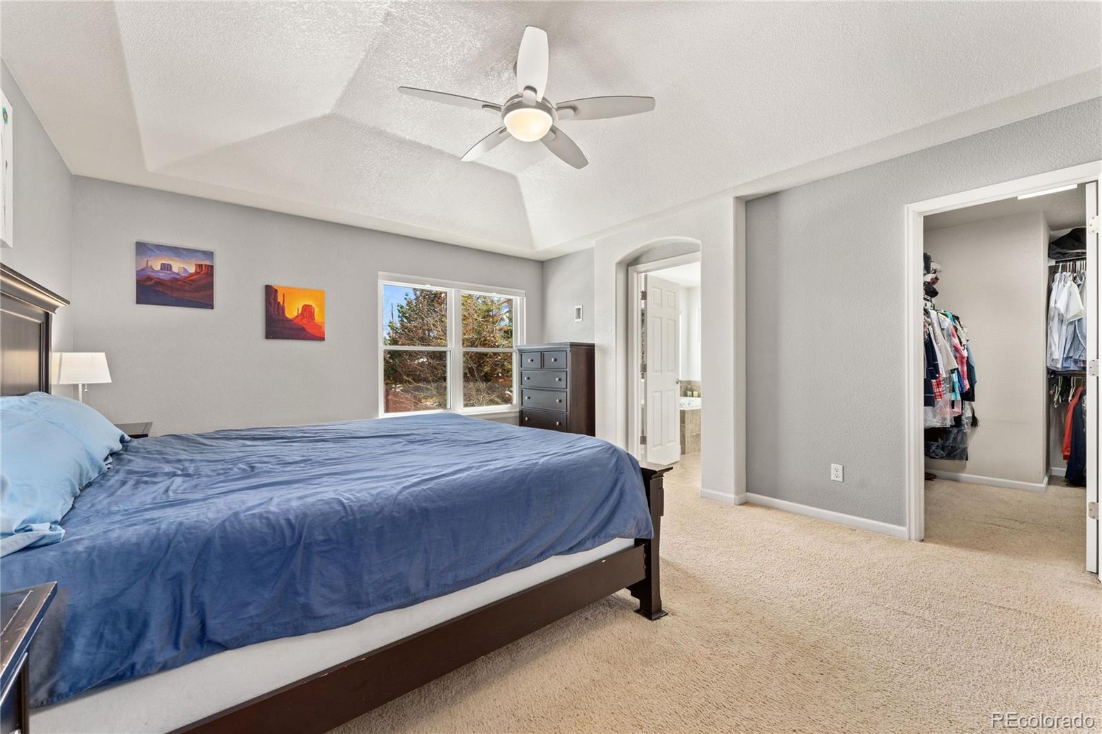 MLS Image #21 for 13238 w 84th place,arvada, Colorado