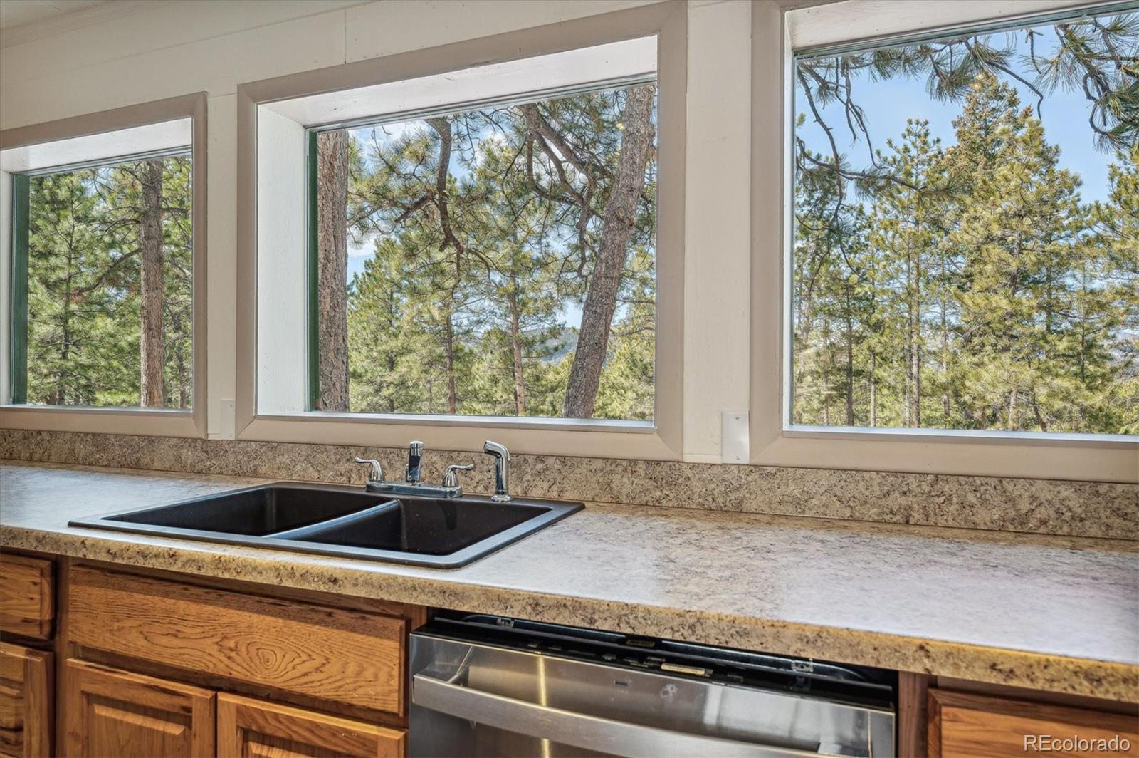 MLS Image #18 for 5645  herzman drive,evergreen, Colorado