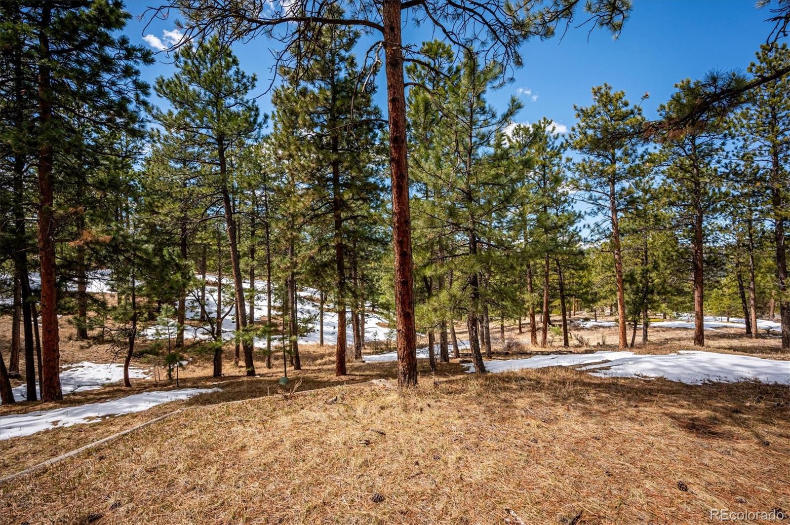 MLS Image #32 for 5645  herzman drive,evergreen, Colorado