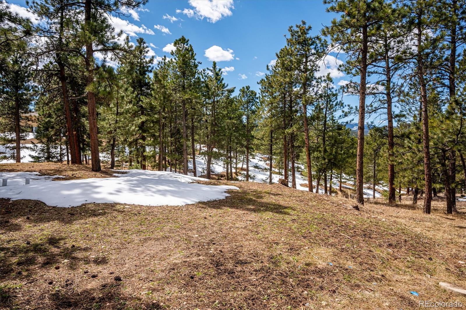 MLS Image #37 for 5645  herzman drive,evergreen, Colorado