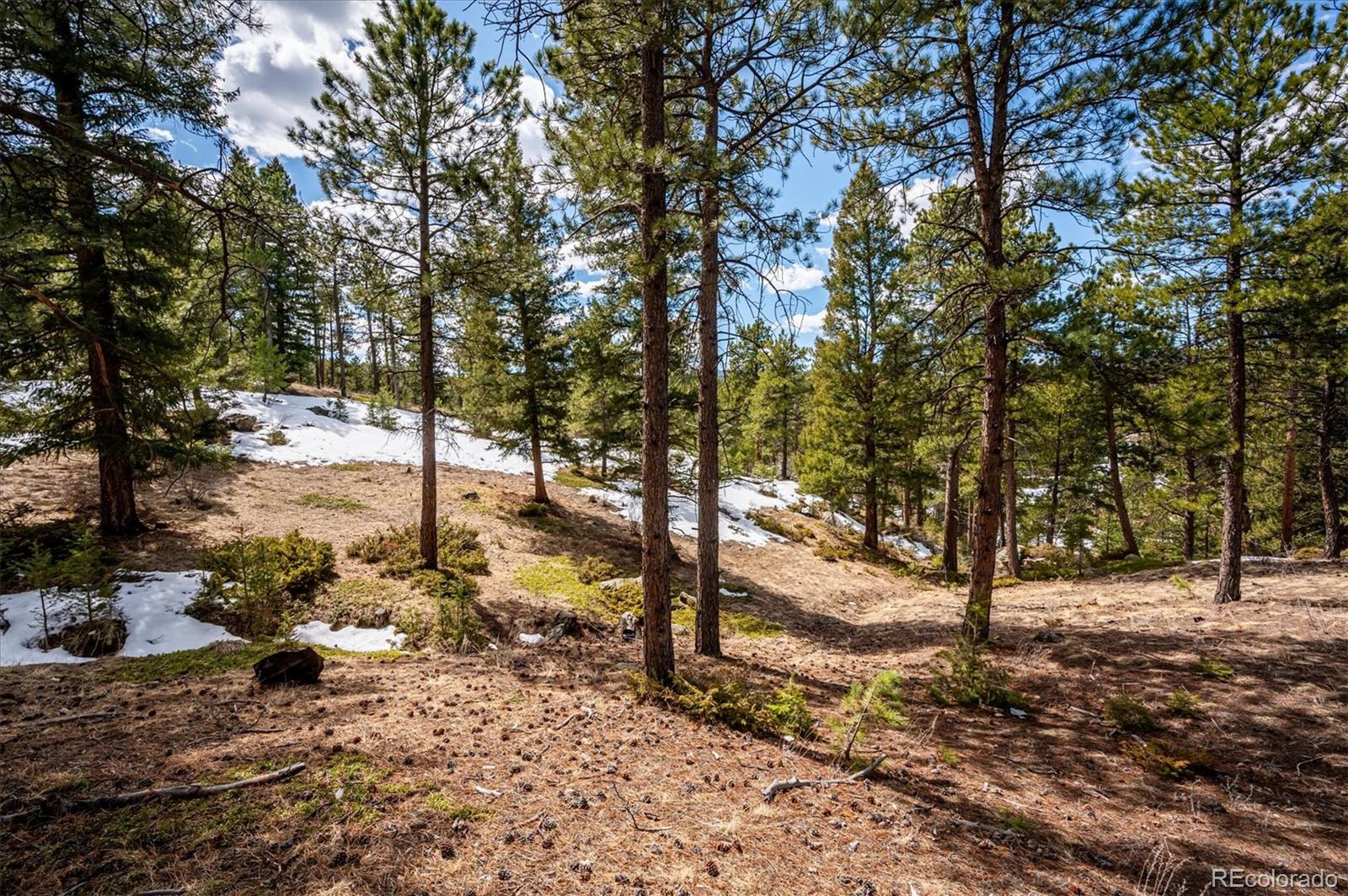 MLS Image #4 for 5645  herzman drive,evergreen, Colorado