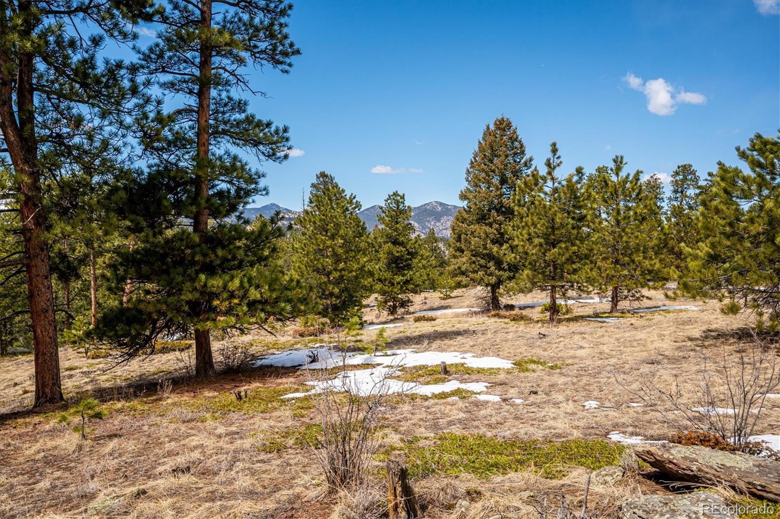 MLS Image #6 for 5645  herzman drive,evergreen, Colorado