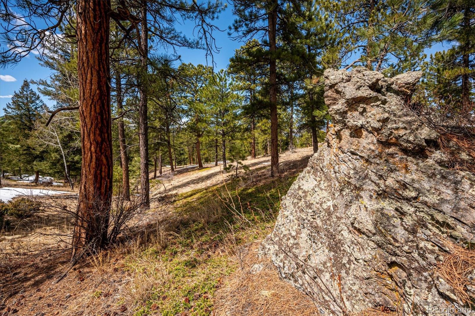 MLS Image #7 for 5645  herzman drive,evergreen, Colorado