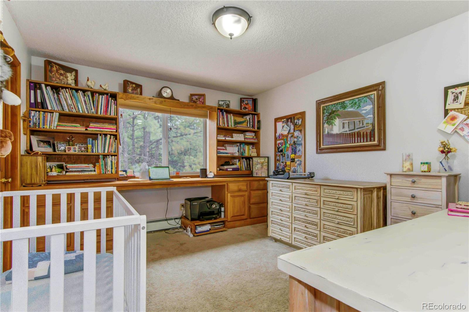 MLS Image #26 for 18245  pine vista place,colorado springs, Colorado