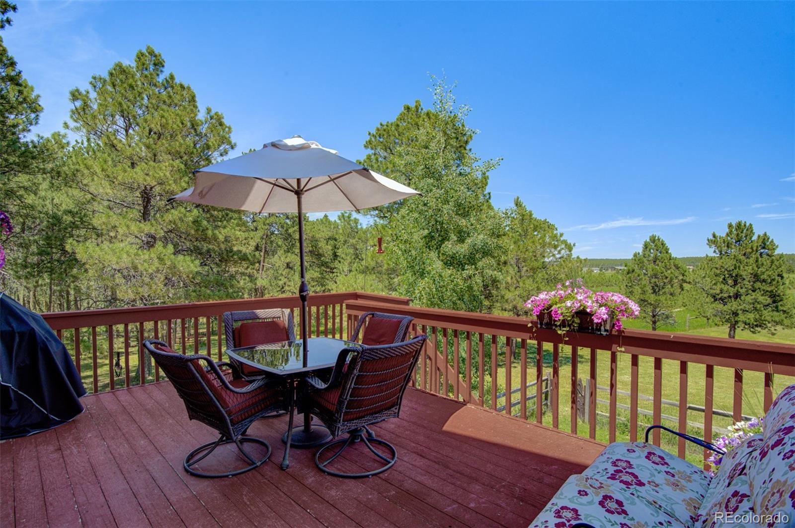 MLS Image #38 for 18245  pine vista place,colorado springs, Colorado