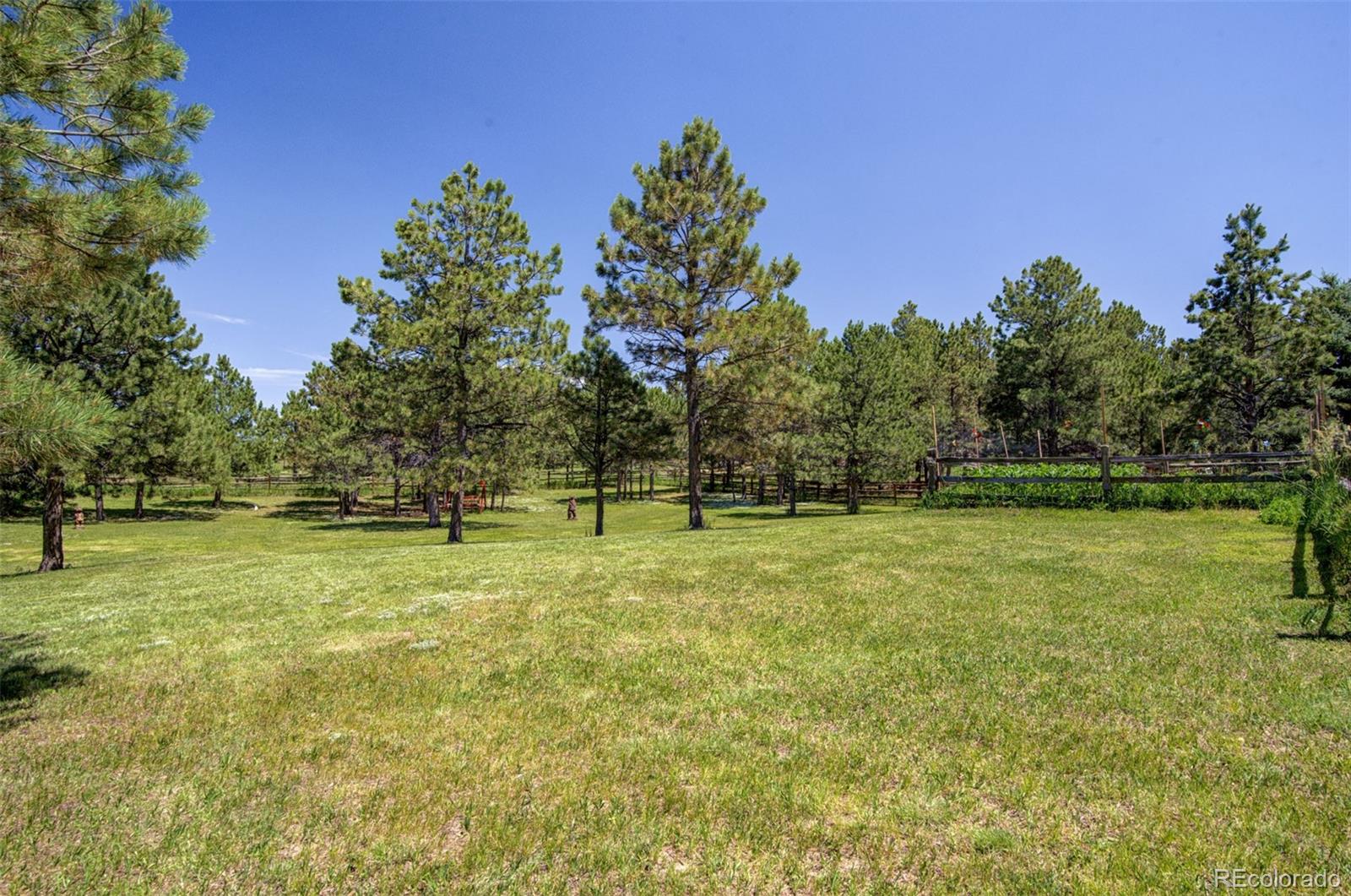 MLS Image #43 for 18245  pine vista place,colorado springs, Colorado