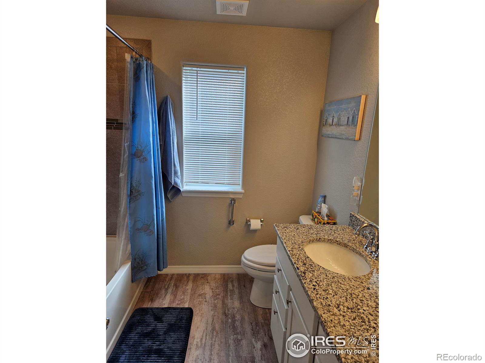 MLS Image #18 for 1851  lazear street,loveland, Colorado