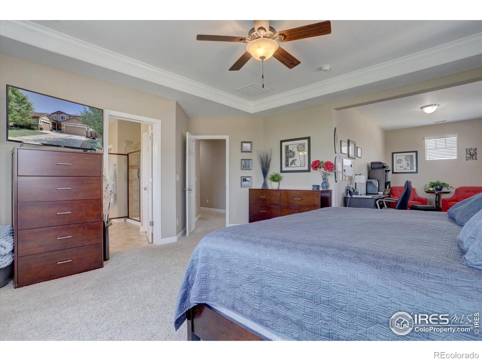 MLS Image #19 for 1608  hideaway court,longmont, Colorado