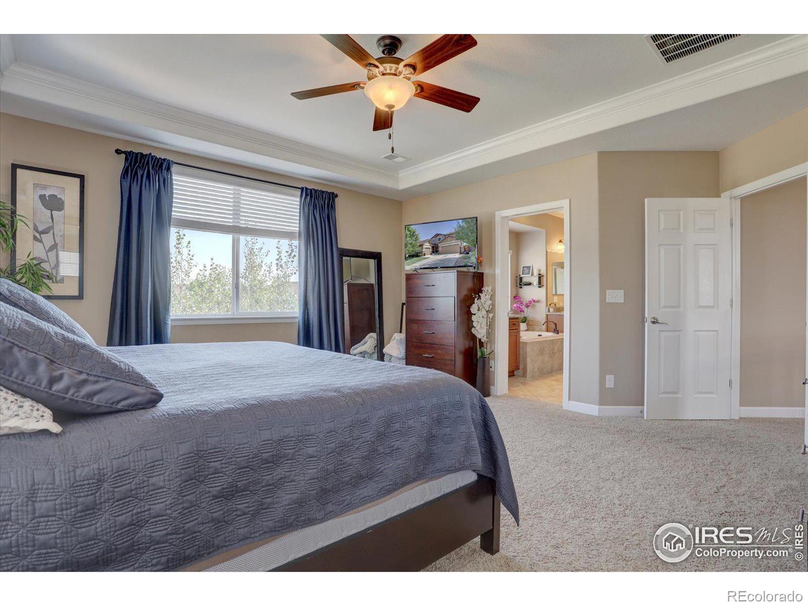 MLS Image #21 for 1608  hideaway court,longmont, Colorado