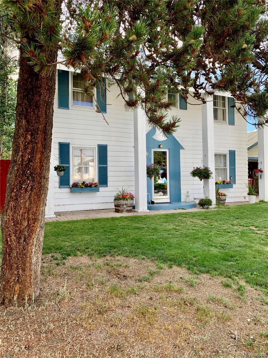 MLS Image #34 for 1600  mt massive drive,leadville, Colorado