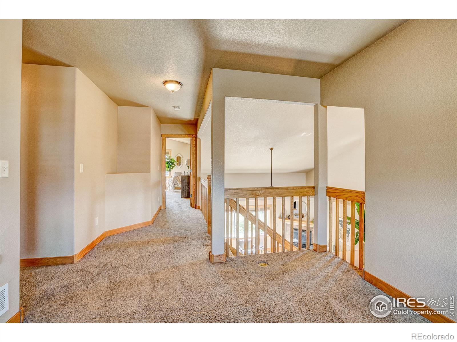 MLS Image #20 for 2739  headwater drive,fort collins, Colorado