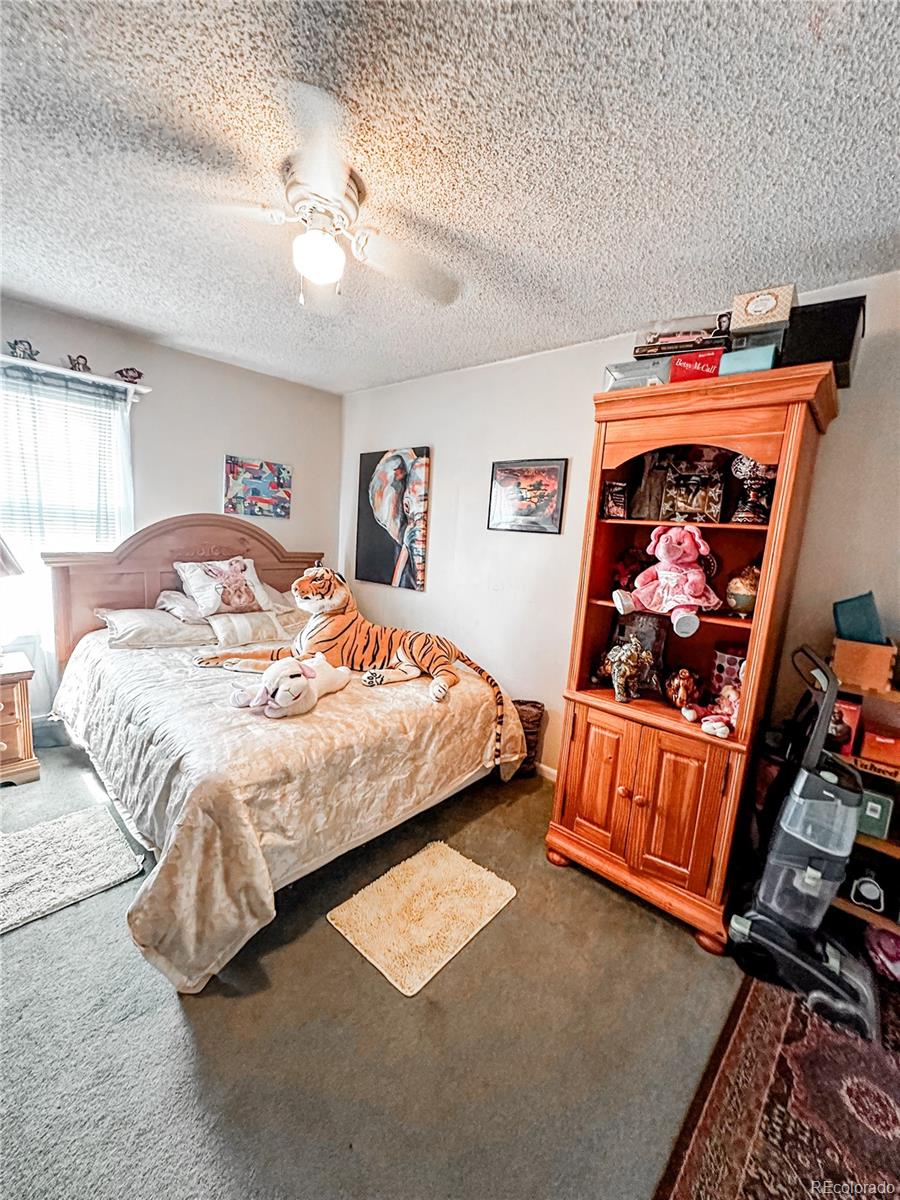 MLS Image #9 for 217 s stanolind avenue,rangely, Colorado