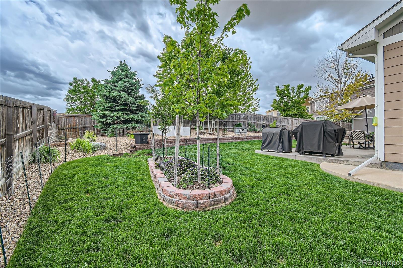 MLS Image #5 for 1576 e 166th place,thornton, Colorado