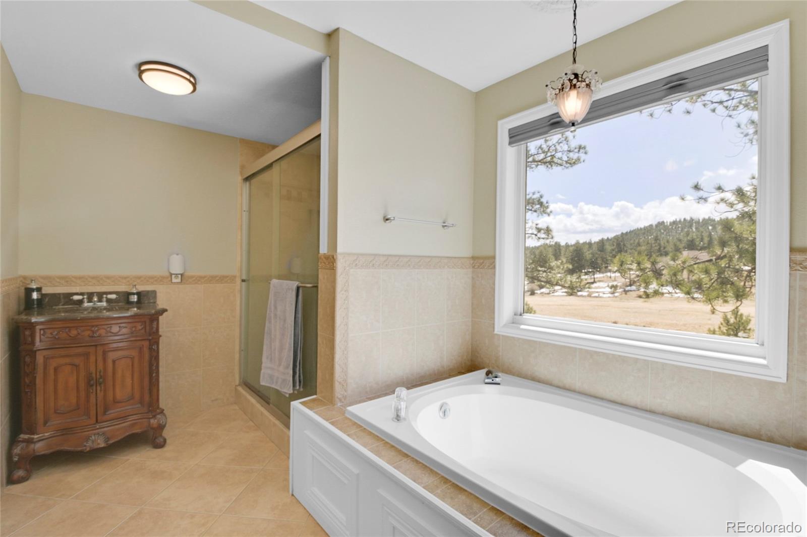 MLS Image #21 for 214  conestoga road,bailey, Colorado