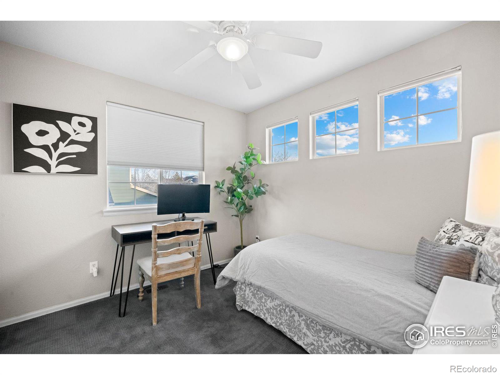 MLS Image #33 for 8151  briar ridge drive,castle pines, Colorado