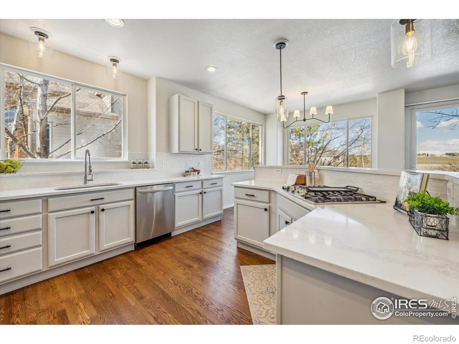 MLS Image #13 for 5317  brookside drive,broomfield, Colorado