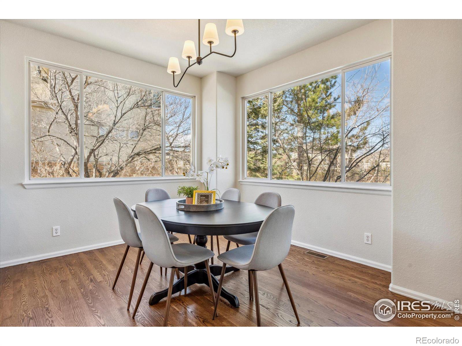 MLS Image #15 for 5317  brookside drive,broomfield, Colorado