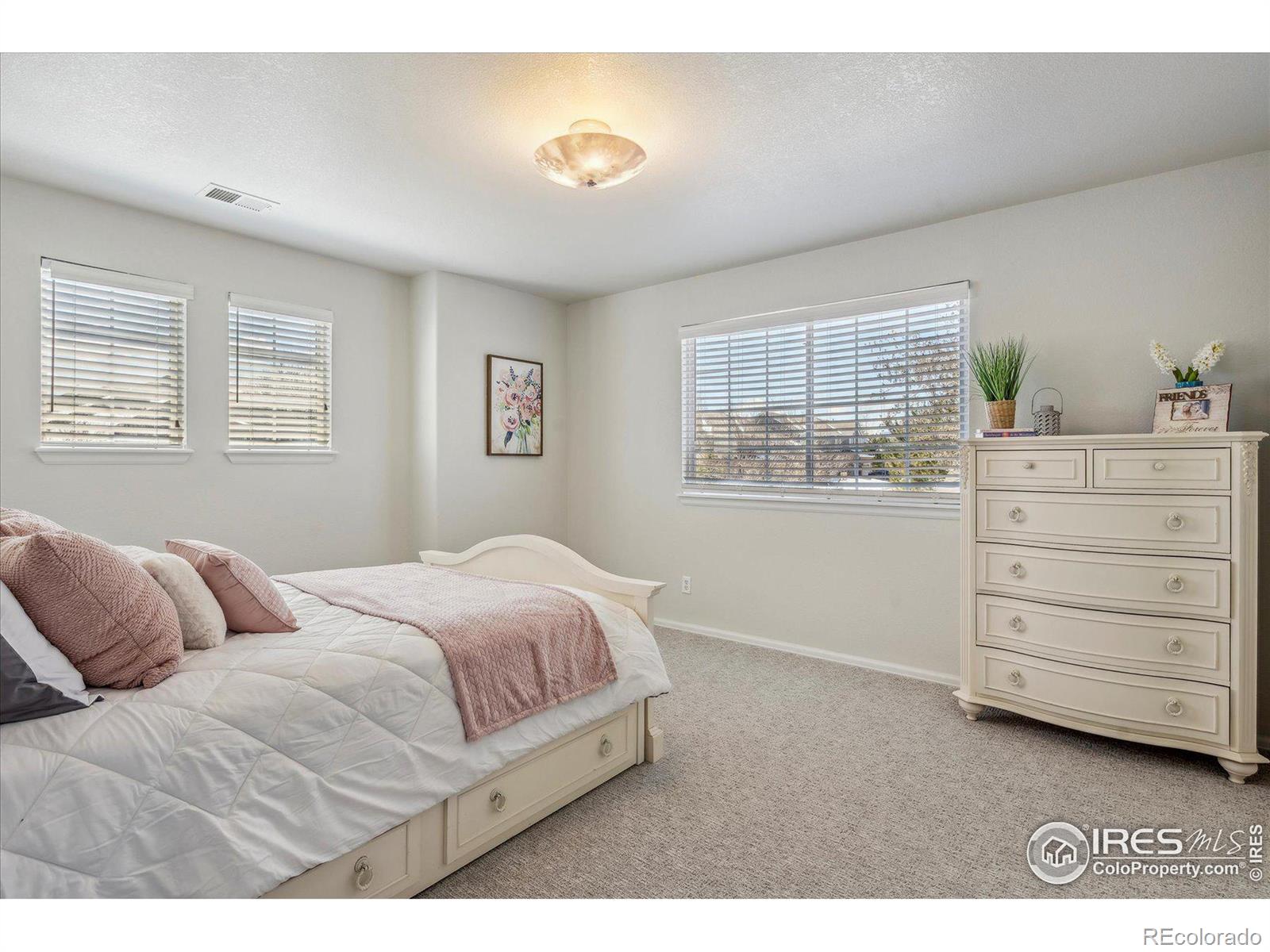 MLS Image #22 for 5317  brookside drive,broomfield, Colorado