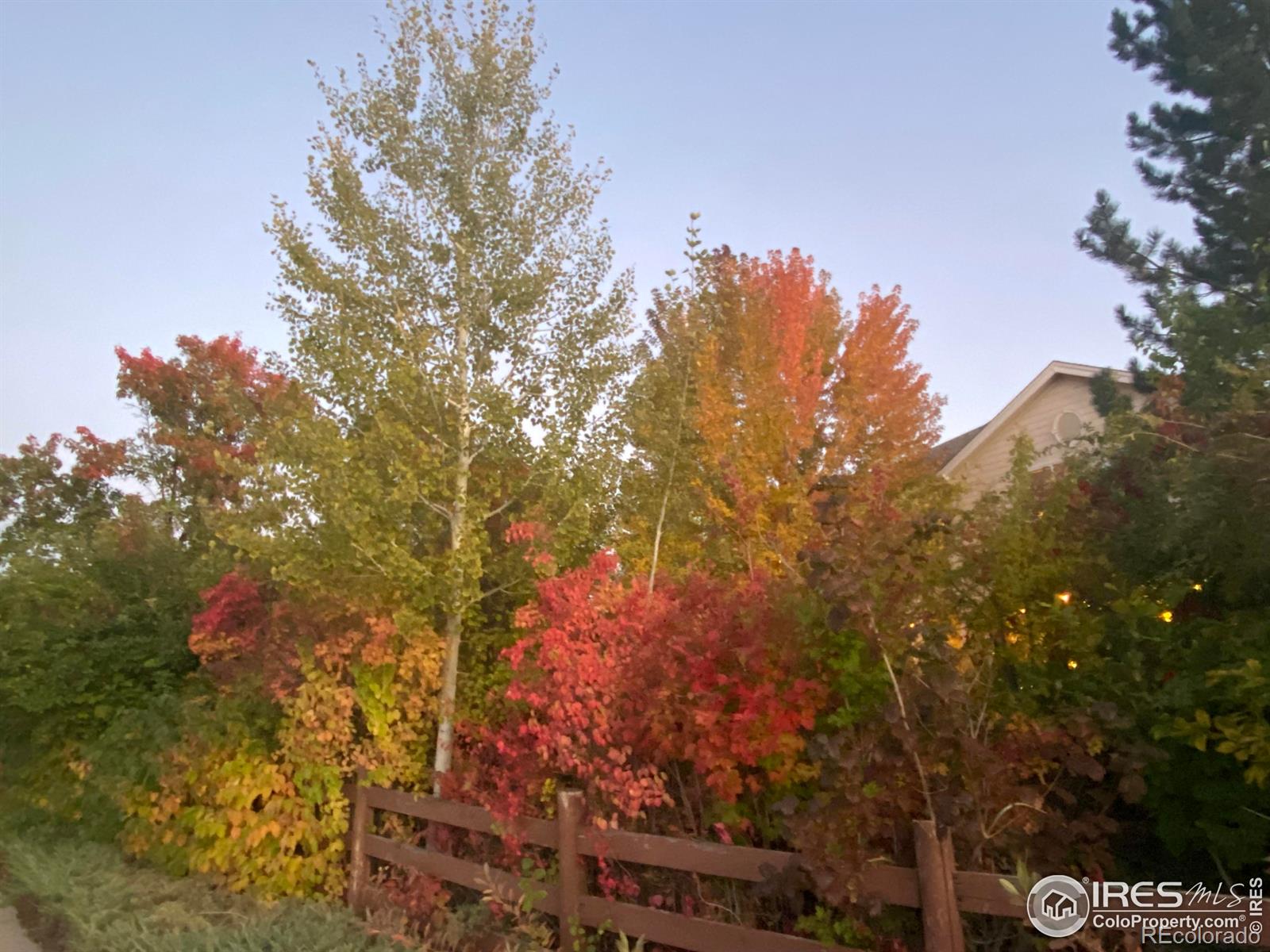 MLS Image #32 for 5317  brookside drive,broomfield, Colorado
