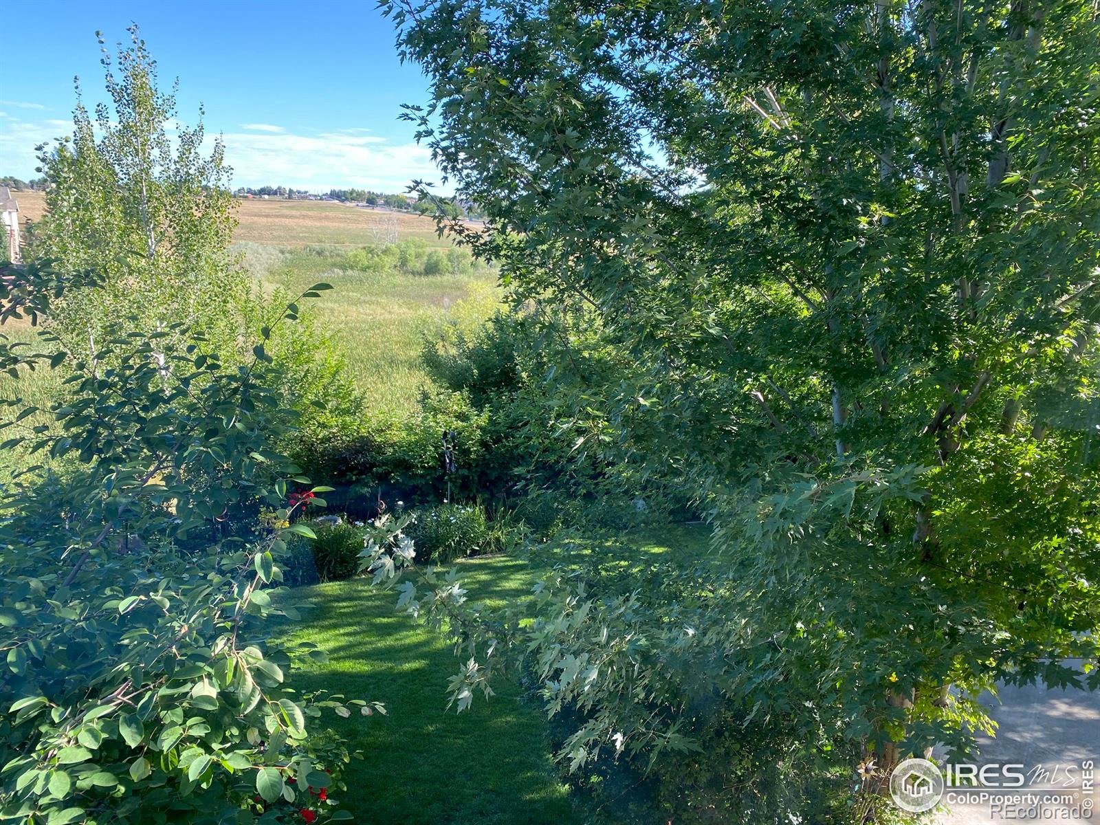 MLS Image #33 for 5317  brookside drive,broomfield, Colorado