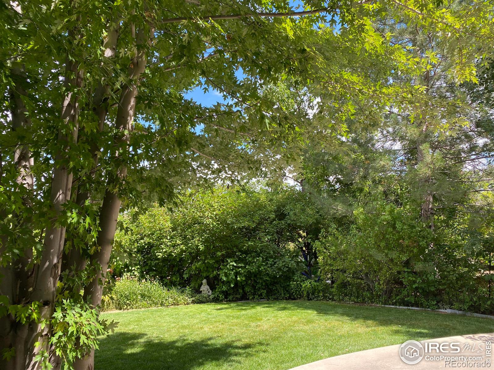 MLS Image #34 for 5317  brookside drive,broomfield, Colorado