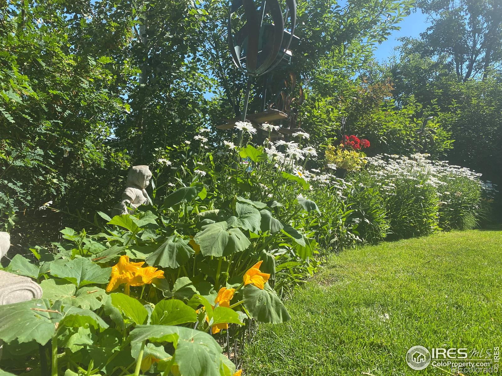 MLS Image #35 for 5317  brookside drive,broomfield, Colorado