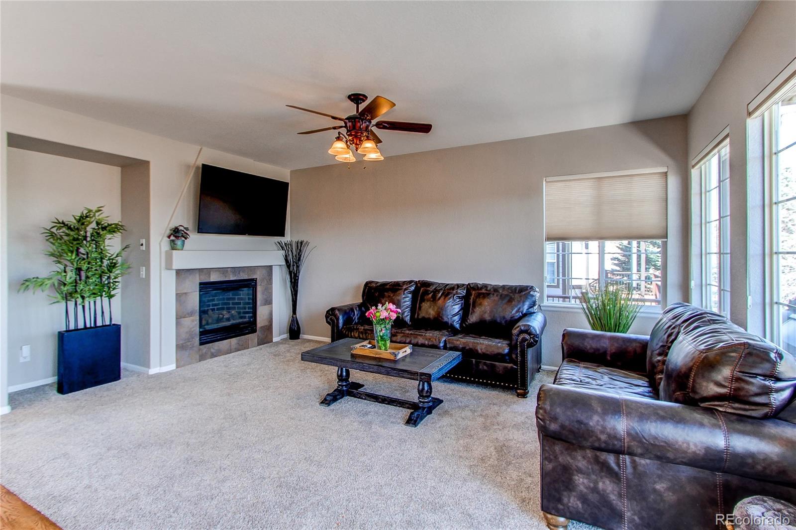 MLS Image #12 for 4624  trailside loop,castle rock, Colorado