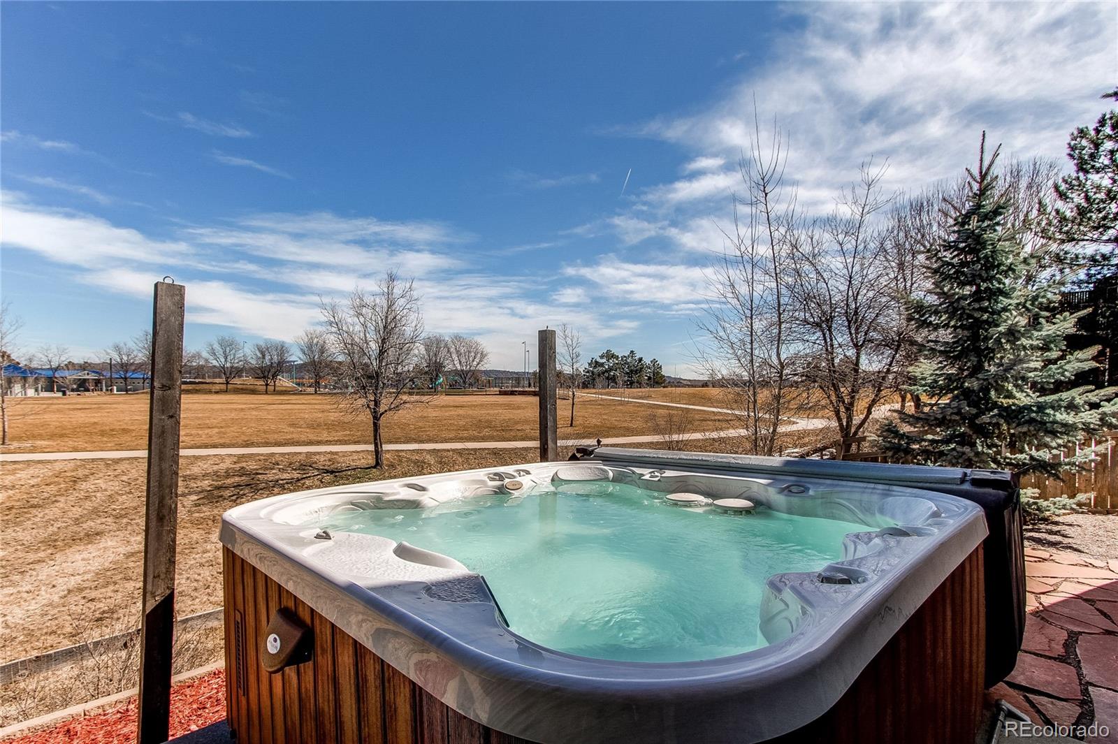 MLS Image #19 for 4624  trailside loop,castle rock, Colorado