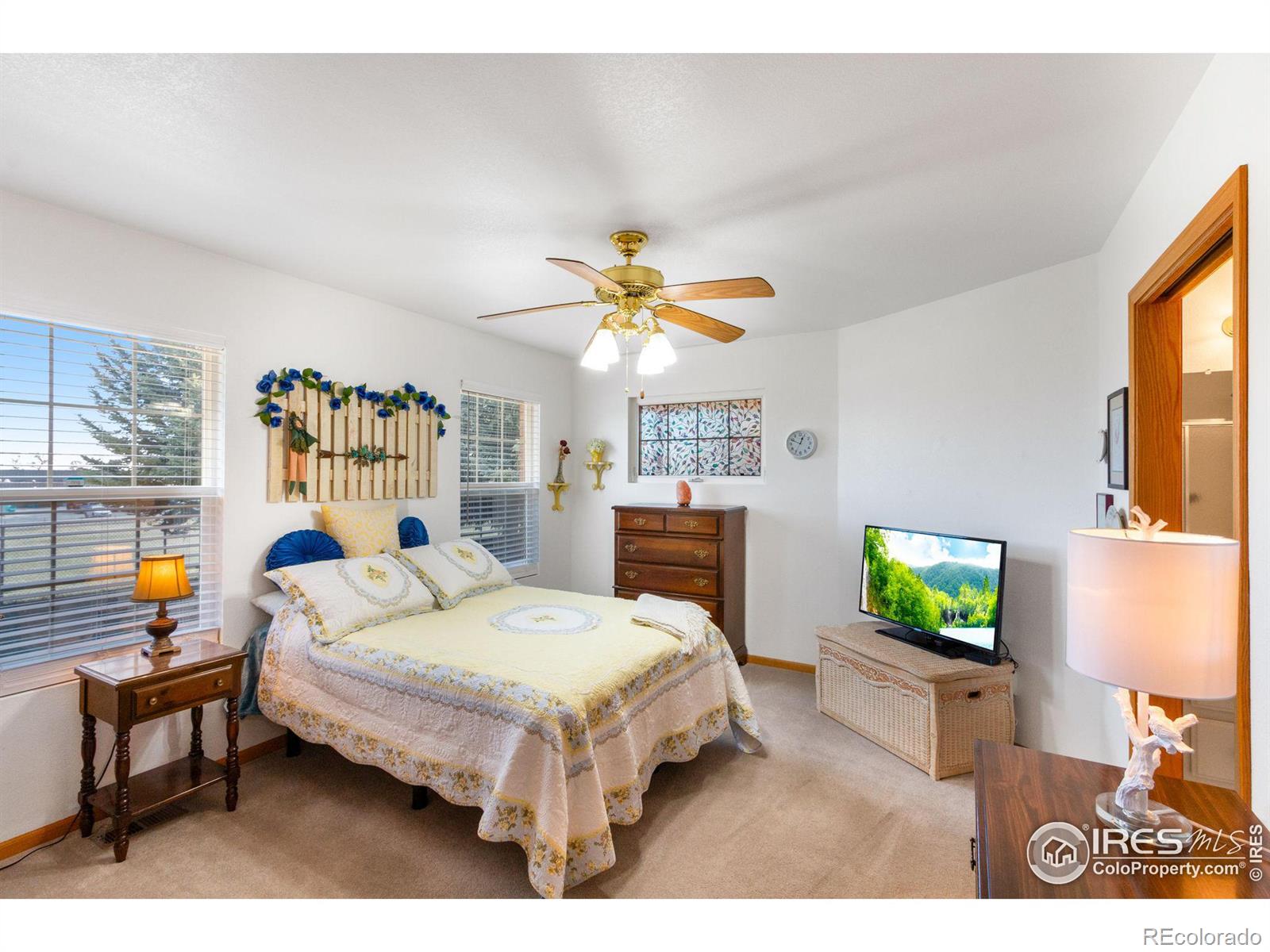 MLS Image #17 for 250  shupe circle,loveland, Colorado