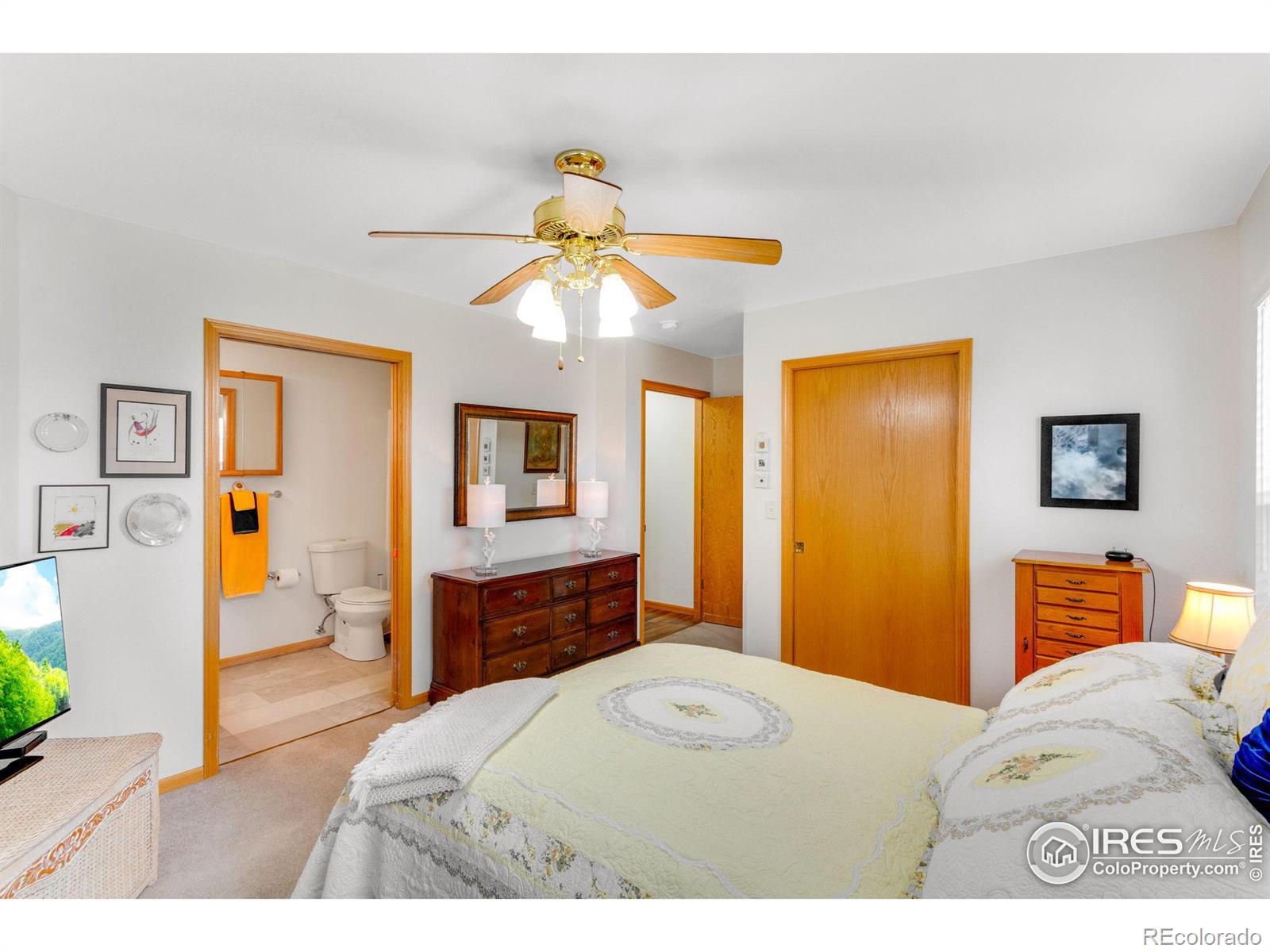 MLS Image #19 for 250  shupe circle,loveland, Colorado