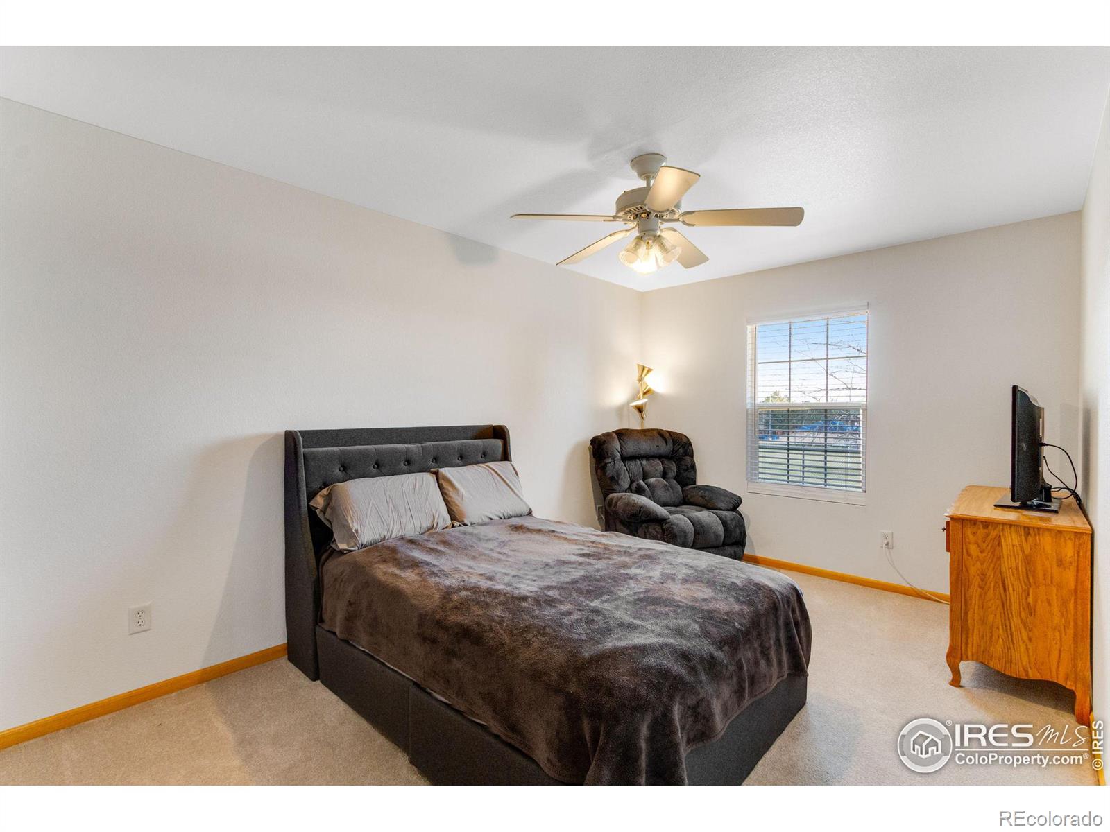 MLS Image #20 for 250  shupe circle,loveland, Colorado