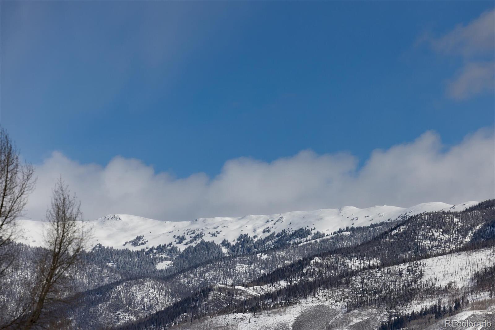 MLS Image #20 for 2403  ryan gulch court,silverthorne, Colorado