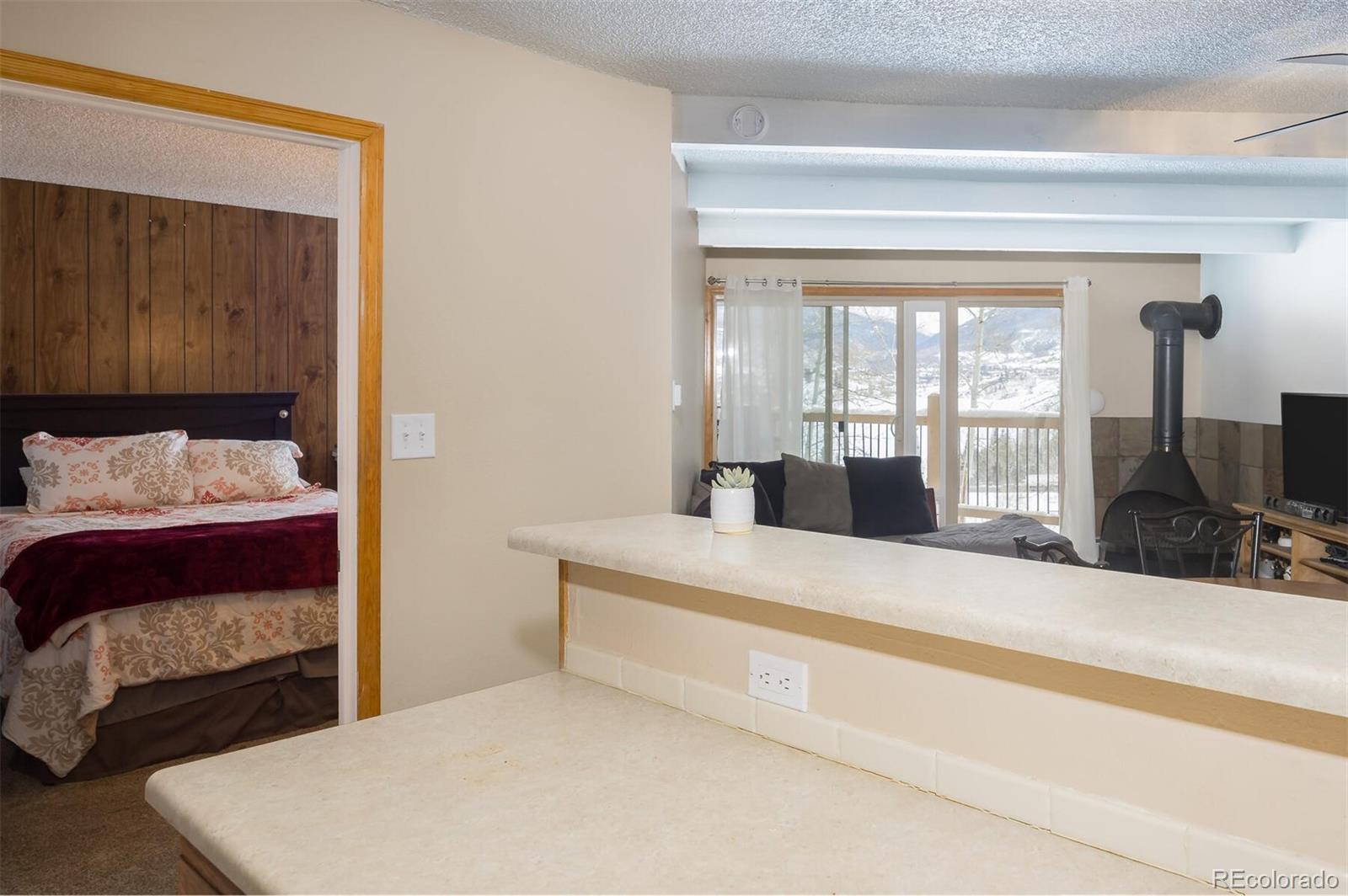 MLS Image #7 for 2403  ryan gulch court,silverthorne, Colorado