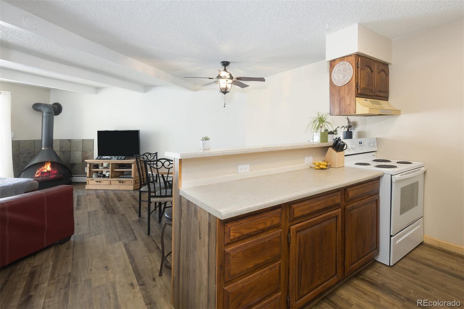 MLS Image #8 for 2403  ryan gulch court,silverthorne, Colorado