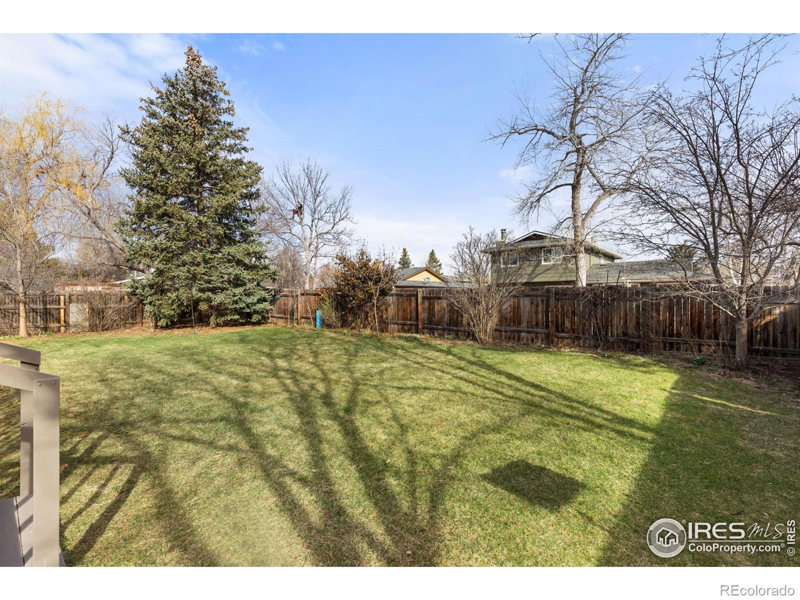 MLS Image #28 for 806  coronado avenue,fort collins, Colorado